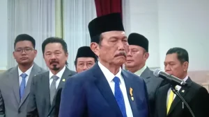 dewan ekonomi nasional