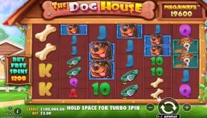 Serunya Dunia Anjing Super Fun di The Dog House Megaways